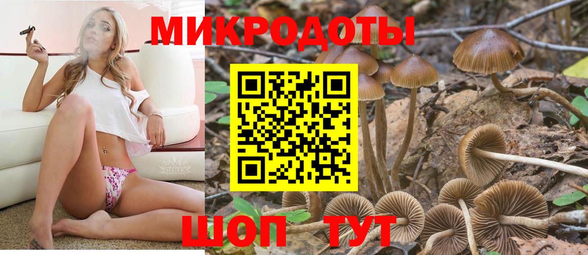 где купить наркоту  Псилоцибиновые грибы Magic Shrooms  Псилоцибиновые грибы мухоморы  Вход с VPN  Прокопьевск 